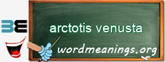 WordMeaning blackboard for arctotis venusta